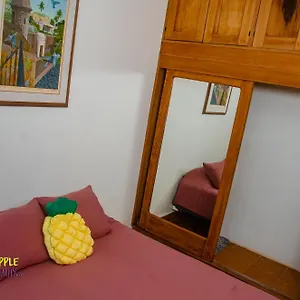 Pineapple Hospitality Mayaguez